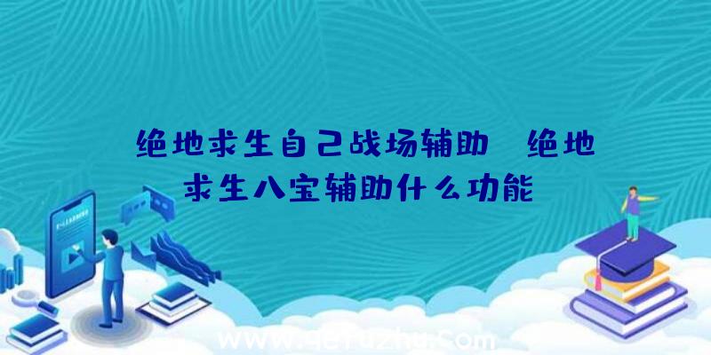 「绝地求生自己战场辅助」|绝地求生八宝辅助什么功能